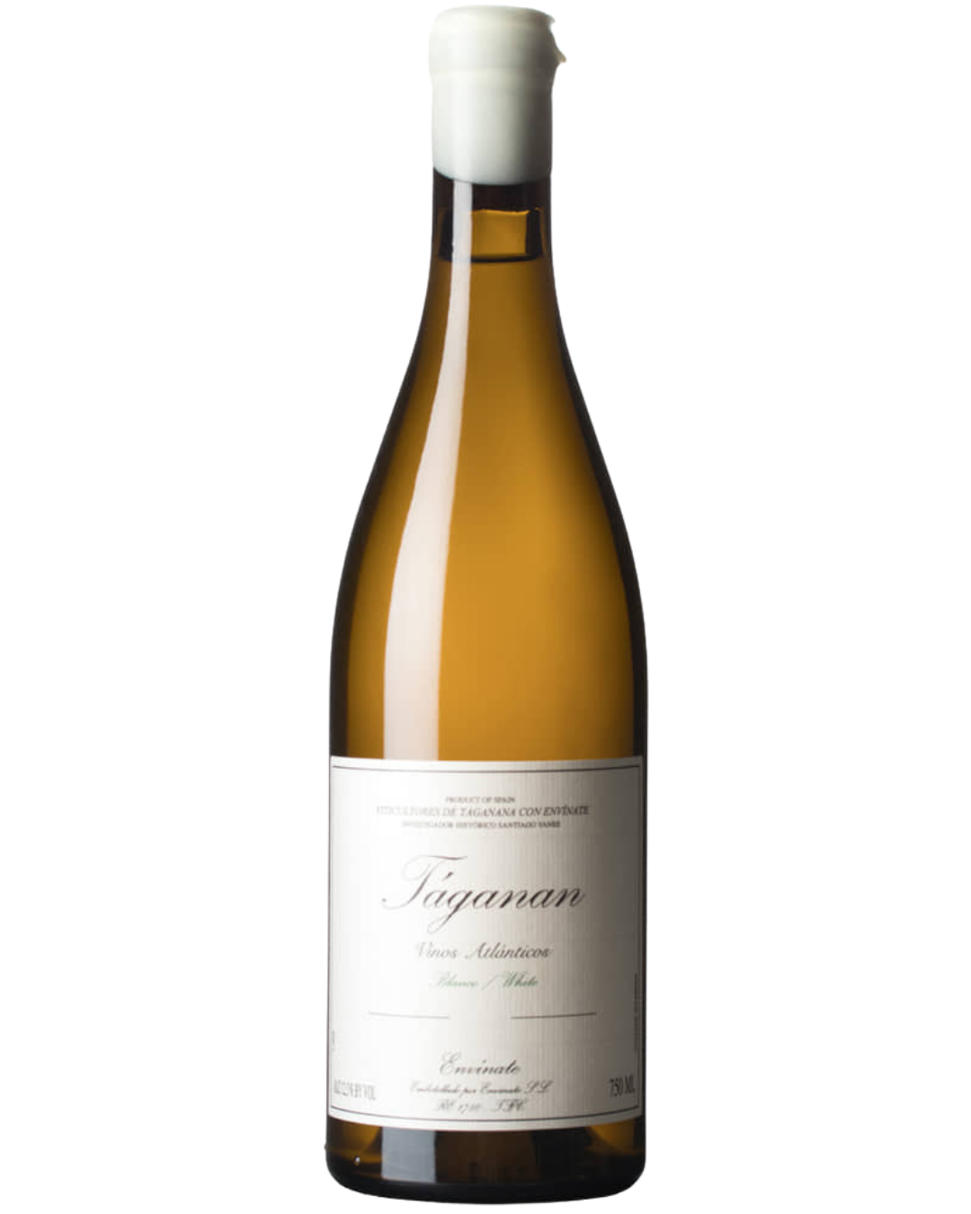 Táganan Blanco 2022 / タガナン・ブランコ