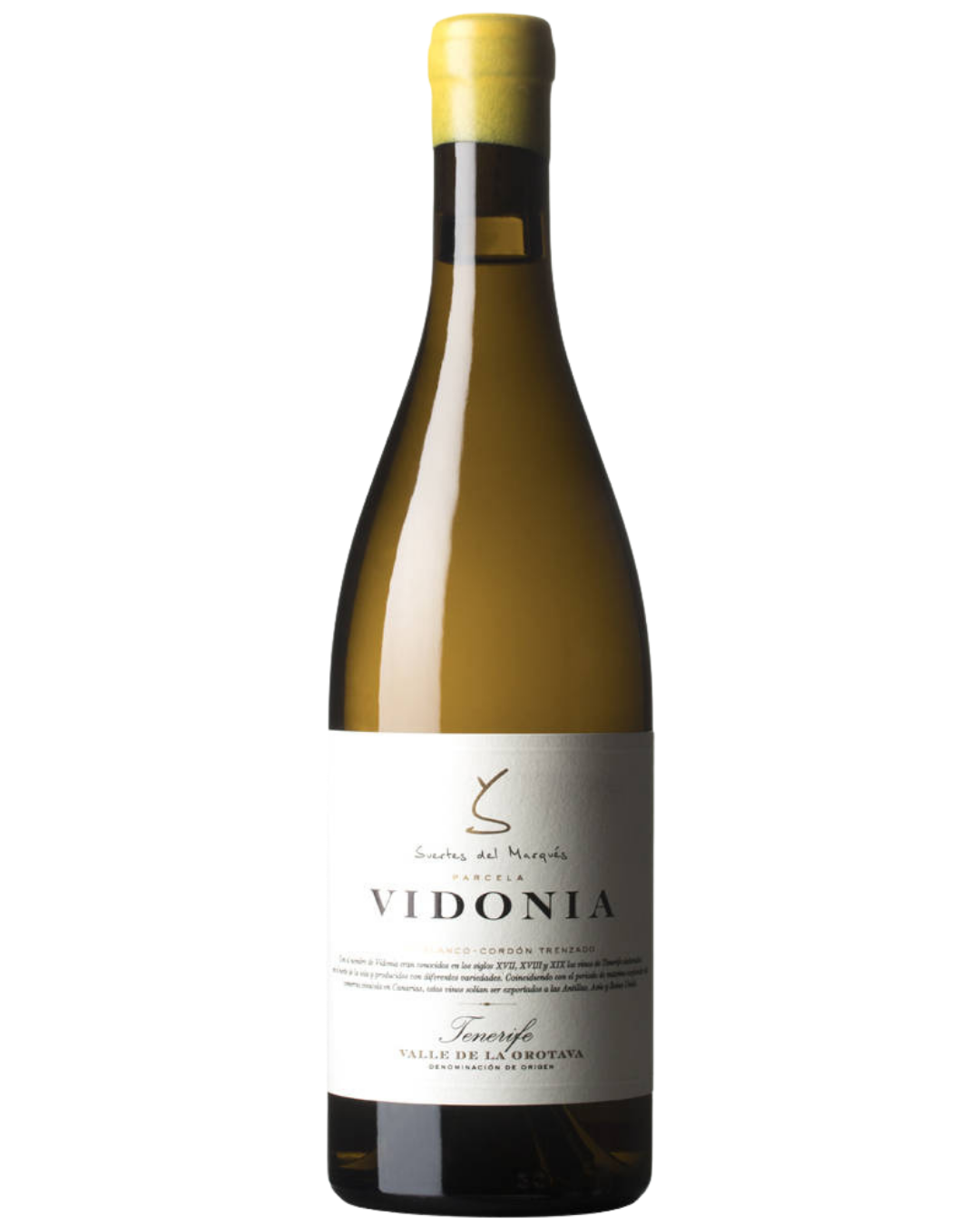 Vidonia / ヴィドニア 2018