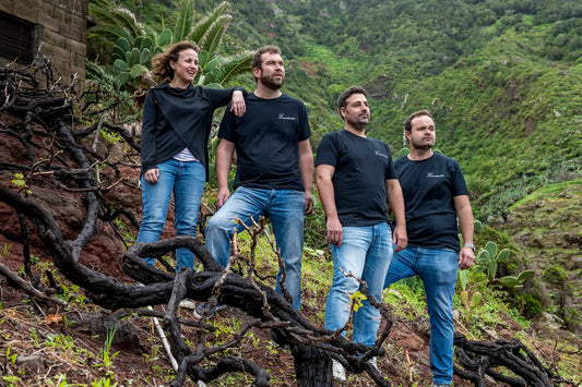 Benje Tinto 2023 / ベンヘ・ティント