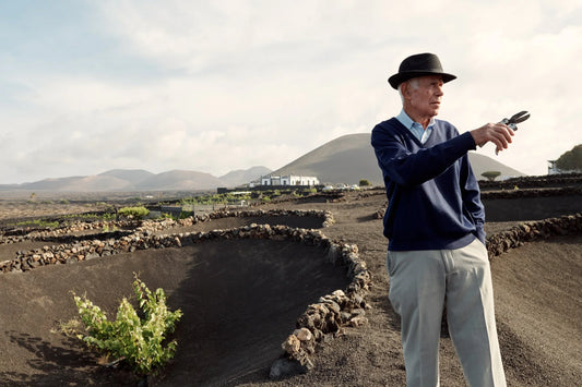 Bermejos Listan Negro Maceracion Carbonica / ベルメホス・リスタン・ネグロ・マセラシオン・カルボニカ 2022